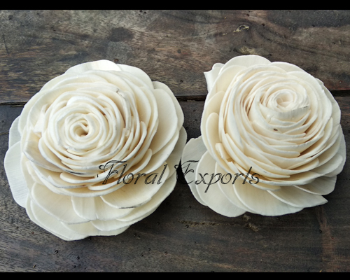 Sola Beauti Rose