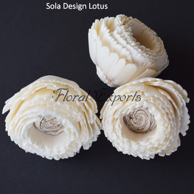 Sola Design Lotus