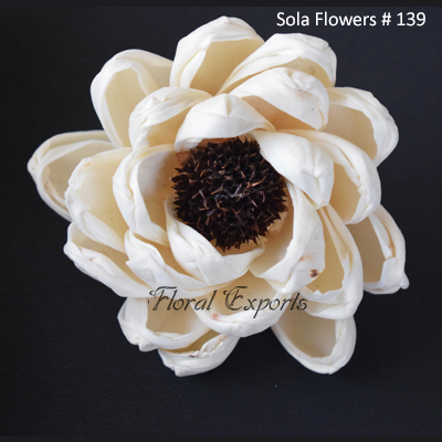 Sola Flowers # 139