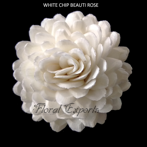 WHITE CHIP BEAUTI ROSE 1