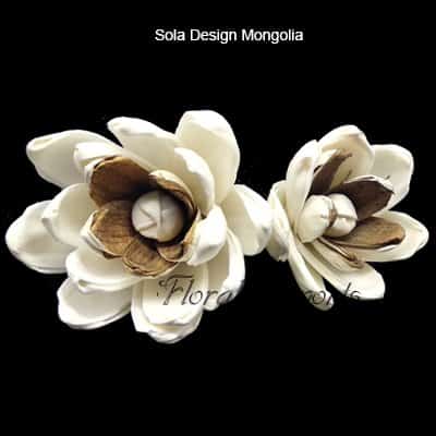 Sola Design Mongolia