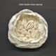 Sola Wood Flowers Manufacturers