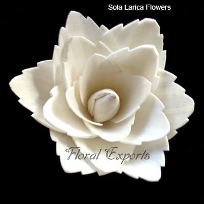 Cheap Sola Wood Flowers