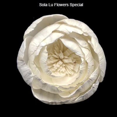 Sola Wood Flowers Purchase
