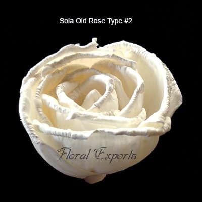 Sola Wood Flowers Bulk
