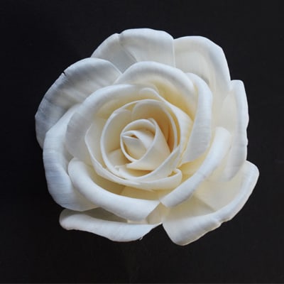 Sola Wood Flowers Wholesale Supplier